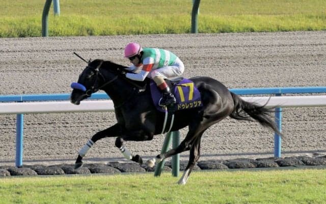 2023香港国際競走に日本馬が登録…リバティアイランド、ドゥレッツァなど