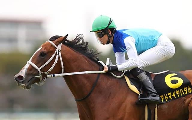 毎日王冠で上がり最速33秒1 スイープトウショウの甥が天皇賞(秋)で激走狙う