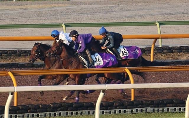 友道康夫厩舎3頭、アルゼンチン共和国杯1週前追い切り速報/栗東トレセンニュース
