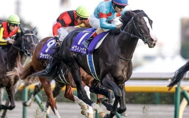 【天皇賞(秋)枠順確定】イクイノックスは6枠7番、ドウデュースは3枠3番