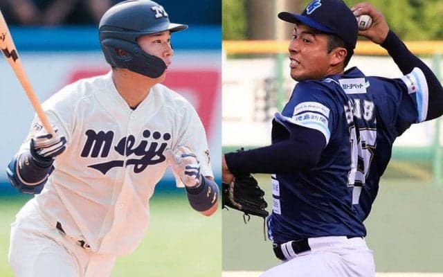 明大に今年も逸材4人…史上最長14年連続指名は“確実”か　四国IL徳島は11年連続狙う