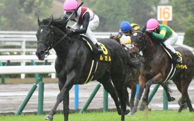 【スワンS出走馬・騎手確定】ルガル＆武豊騎手、アヴェラーレ＆川田将雅騎手など18頭
