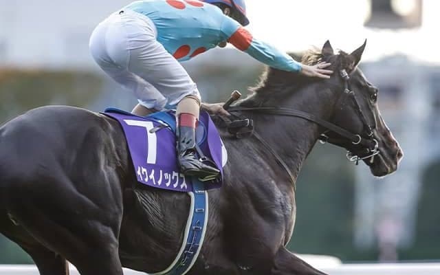 【天皇賞(秋)・調教後馬体重】イクイノックスは496kg、ドウデュースは516kg