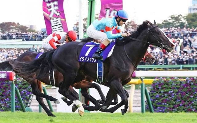 【天皇賞・秋／全頭診断】ドウデュースに「5.0.0.0」　人気一角には「0.0.0.15」で“消し”選択も