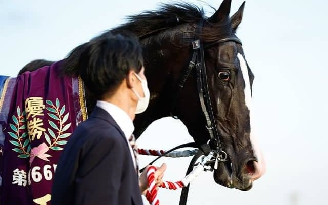 天皇賞(秋)11頭の“香港馬名”を紹介「地神力」や「春秋分」はどの馬？