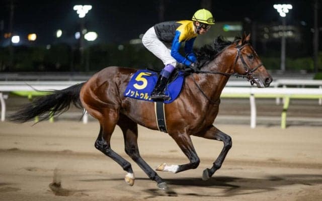 【JBCクラシック】JRA出走予定馬