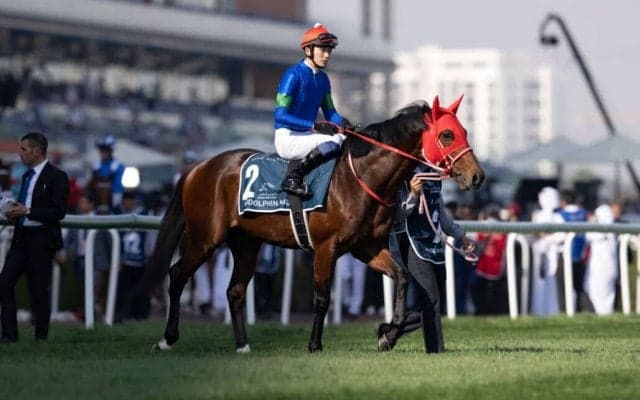 【JBCスプリント】JRA出走予定馬