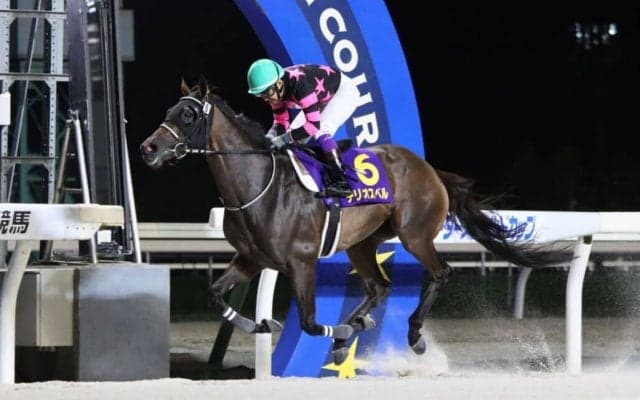 【JBCレディスクラシック】JRA出走予定馬