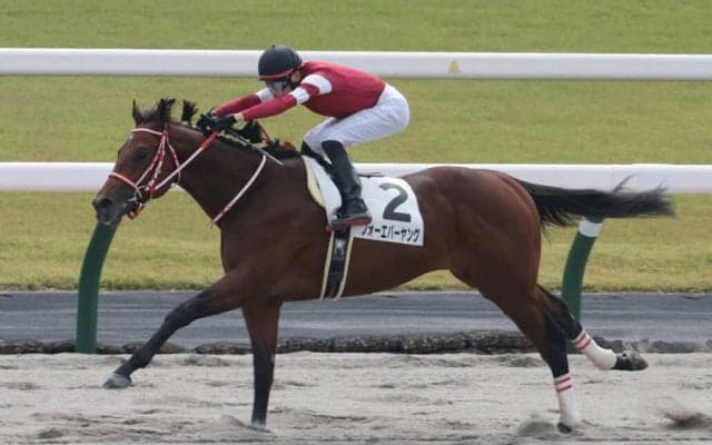 【JBC2歳優駿】JRA出走予定馬