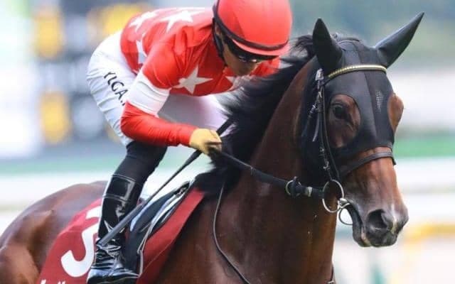 スワンSは過去5勝のディープ産駒に要注目！