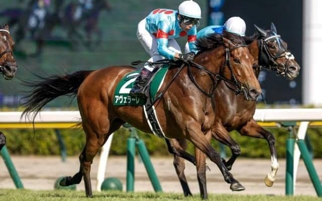 【スワンS枠順確定】ルガルは1枠2番、アヴェラーレは5枠9番