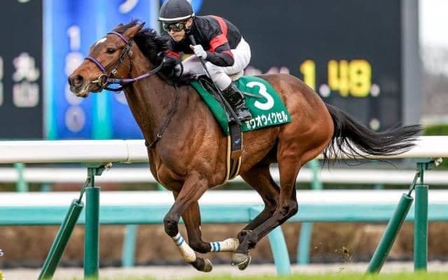 メジロドーベルの孫ホウオウイクセルが引退 今後はレイクヴィラFで繁殖牝馬に