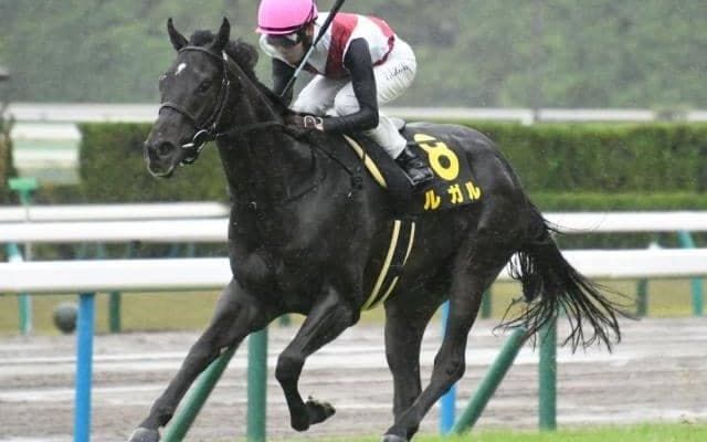 【スワンS予想】過去2年とは傾向が変わる!? 3年ぶりの京都開催で狙える馬とは