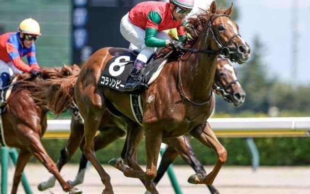 【京王杯2歳S想定馬・騎手】コラソンビート、アスクワンタイムなど12頭