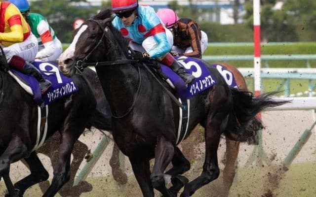 「勝ったら○○」 天皇賞(秋)でイクイノックスやドウデュースにかかる記録の数々とは