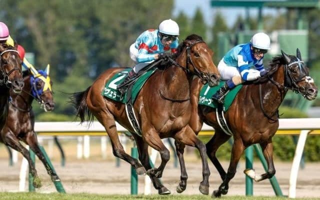 【今日の注目ポイント】東京で2歳牝馬の出世レース・アルテミスS、京都ではスワンS