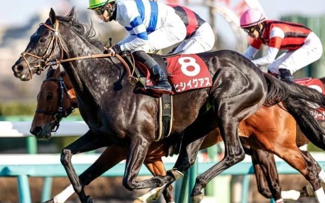 【天皇賞(秋)予想】波乱の立役者は4歳じゃない!? 最強世代に割って入る敗戦理由が明確な実力馬