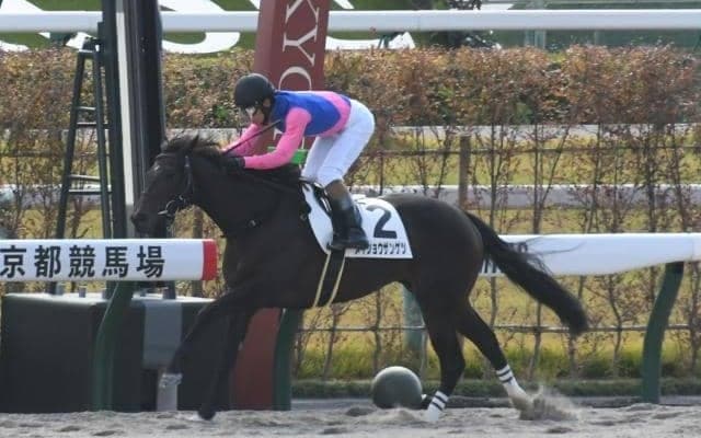 【京都4R新馬戦結果】ダノンレジェンド産駒のメイショウザンゲツが逃げ切りV！