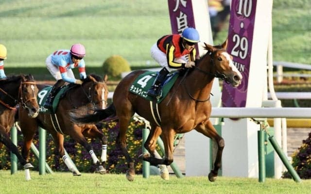 【アルテミスS】チェルヴィニアが重賞初制覇…ルメール騎手は本日4勝目