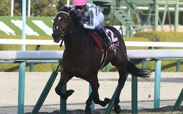 【天皇賞(秋)予想】両雄並び立たず!? 秋の盾争奪戦に波乱を起こす臨戦過程の狂い