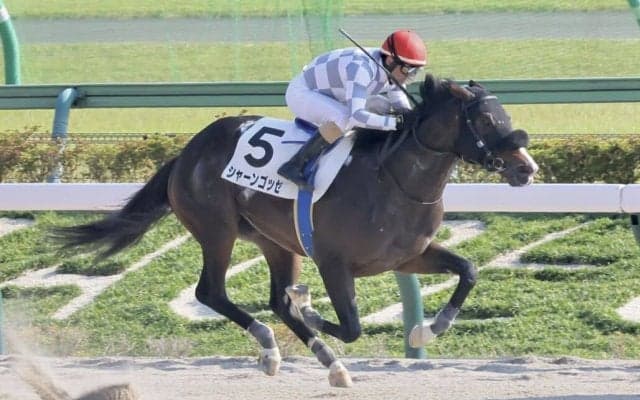 【東京7R】ルメール「強かった」シャーンゴッセが初勝利…3歳未勝利馬が1勝クラス1番人気で快勝