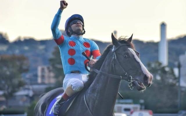 【天皇賞(秋)前日オッズ】連覇狙うイクイノックスが1.4倍で1番人気