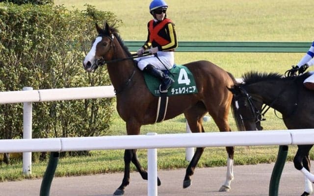 【アルテミスS】ルメール「やっぱり重賞レベル」チェルヴィニアが重賞初制覇