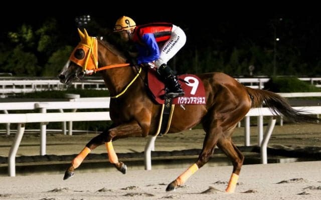 【兵庫・クイーンカップ】ハクサンアマゾネスが重賞19勝目…吉原「絶好の位置取り」