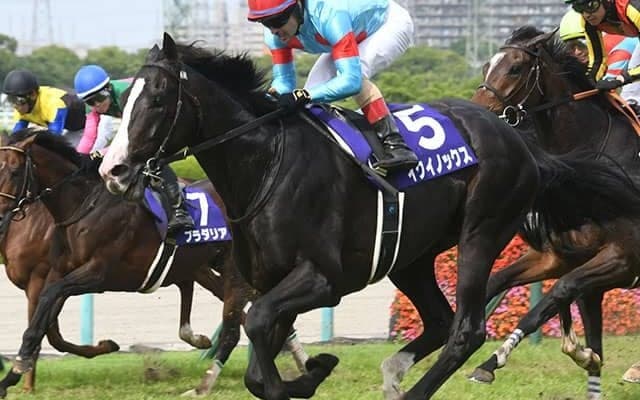 【AI予想・天皇賞(秋)】GI・5連勝へ人工知能も太鼓判！ 世界ナンバーワンホースが格の違いを見せる