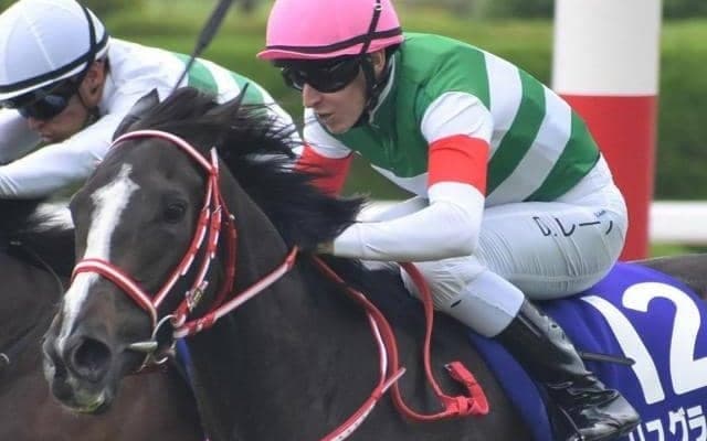 叔母は名牝リスグラシュー 良血ハービンジャー産駒がルメール騎手で初陣Vなるか