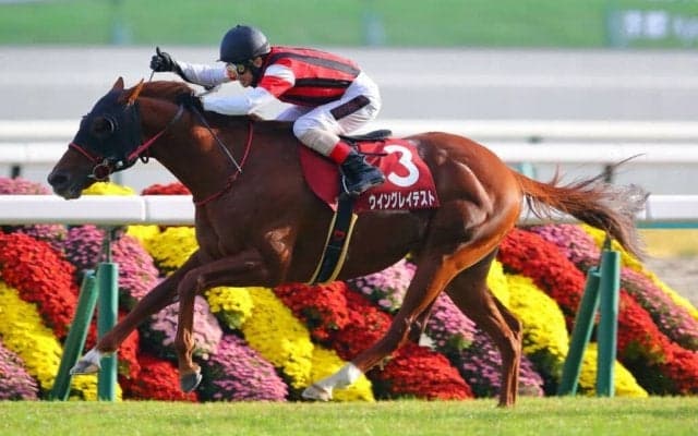 【スワンS】松岡「めちゃくちゃ嬉しいです」ウイングレイテストが重賞初制覇