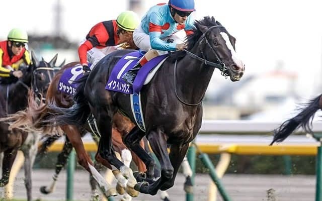 【天皇賞(秋)予想】総合力問われる秋の盾 2強対決の行方はいかに…