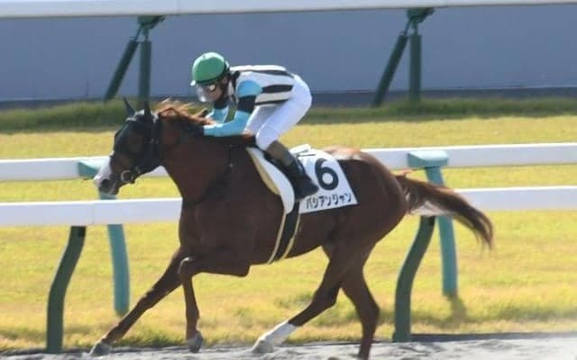 【京都4R新馬戦結果】シニスターミニスター産駒パシアンジャンが快勝！