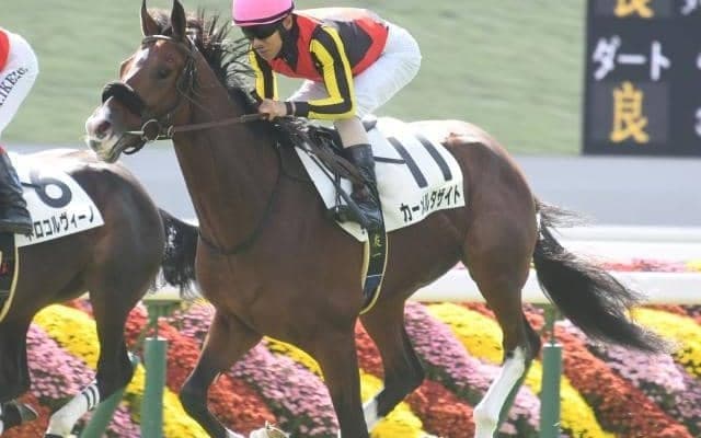 【京都5R新馬戦結果】サトノダイヤモンド産駒カーメルタザイトが人気に応えてV