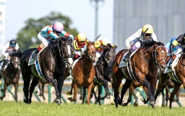 【天皇賞(秋)・馬体重】イクイノックスは494kg(+2)、ドウデュースは512kg(+4)