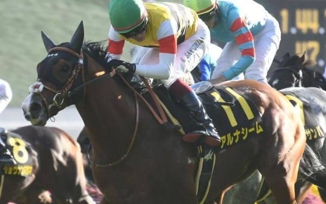 【カシオペアS結果】3番人気アルナシームが差し切り快勝