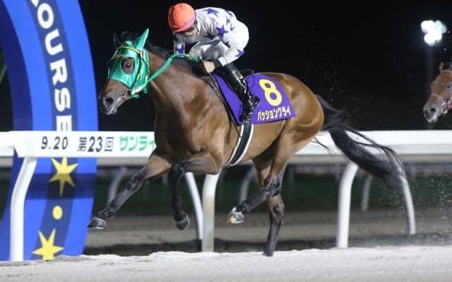 【門別・JBC2歳優駿枠順】前哨戦のサンライズCを制したパッションクライは7枠10番、デビュー戦で7馬身差圧勝のエストレヤデベレンは7枠9番