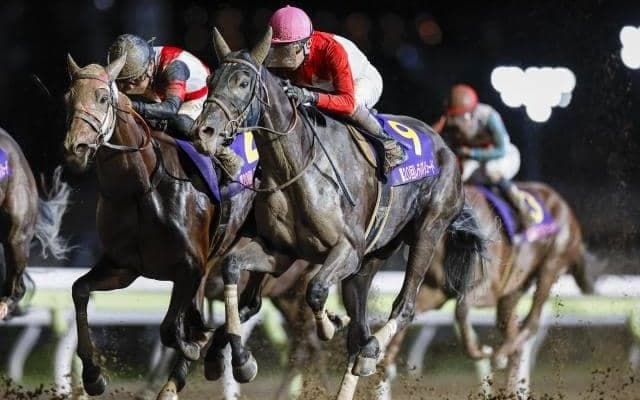 【大井・JBCレディスC枠順】前哨戦を制したアーテルアストレアは8枠12番、連覇を狙うヴァレーデラルナは1枠1番