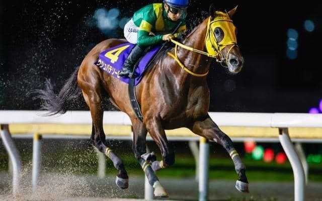JRAではAR共和国杯など4重賞 ダートの祭典JBCと米BCも開催/今週の競馬界の見どころ