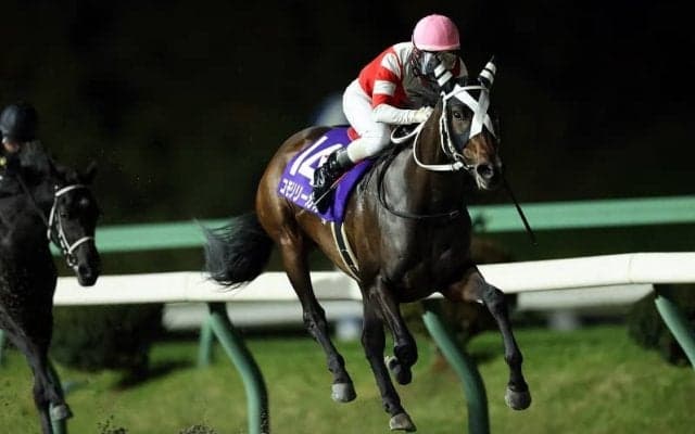 【盛岡・プリンセスC】コモリリーガルが重賞を連勝…村上忍「今後も楽しみな馬」