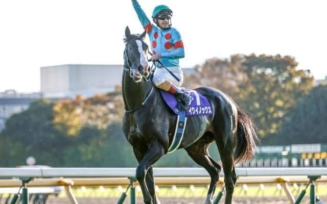 粗品氏はイクイノックス本命もハズレ「武豊ジョッキー、大丈夫ですか？」