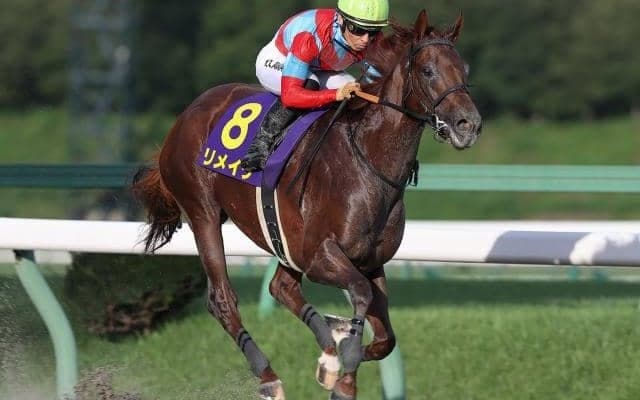 【大井・JBCスプリント枠順】重賞連勝中のリメイクは6枠11番、連覇かかるダンシングプリンスは8枠15番