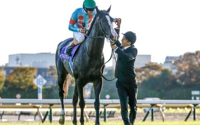 【天皇賞(秋)】売上は234億4578万2800円で昨年より約13億円の大幅増加