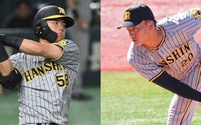 阪神、秋季キャンプのメンバー発表　日本Sの裏で…21年ドラ1森木ら期待の若手参加