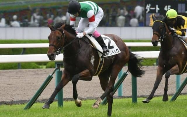 京王杯2歳S想定騎手15頭 前走重賞2着のミルテンベルクはJ.モレイラ騎手