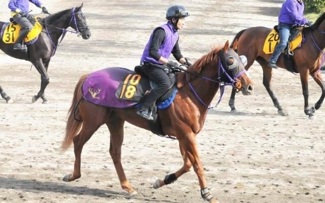 1億超で落札された米国産馬が初陣 全兄に米G1馬持つアッシュルバニパル/関東馬メイクデビュー情報