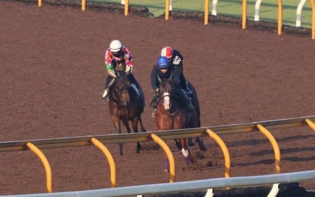 きょうだいともに2億円ホース フレミングフープが京都で初陣/関西馬メイクデビュー情報