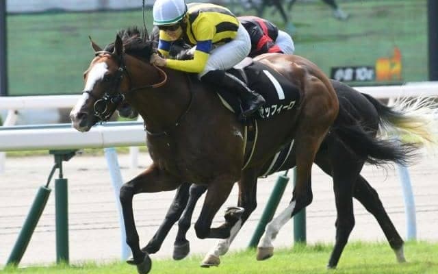 AR共和国杯想定騎手22頭 重賞初制覇を狙うゼッフィーロはJ.モレイラ騎手