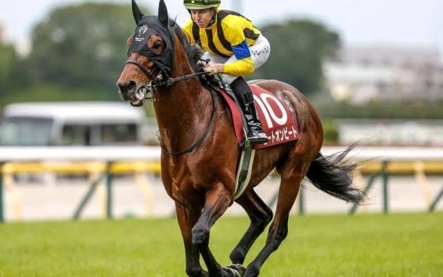 【AI予想・AR共和国杯】前走の人気と4角の位置取りが勝敗を左右する!? 本命候補3頭は当舞台で優れた実績残す実力馬