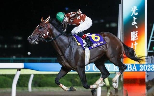 無敗三冠馬が堂々の1位！ 第6回地方競馬ファン投票結果発表